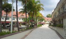 Horizon Gardens (D20), Terrace #775992
